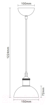 Потолочный светильник Camelion PL-601S C67 / 13100 (черный+старинная медь)