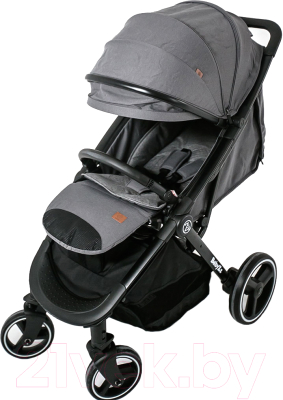 

Детская прогулочная коляска Babyzz, B100