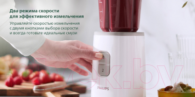 Блендер стационарный Philips HR2602/00