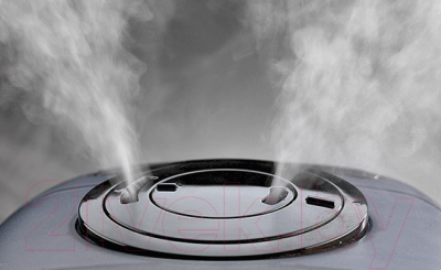 Изображение товара Ультразвуковой увлажнитель воздуха Boneco Air-O-Swiss U600 (белый)