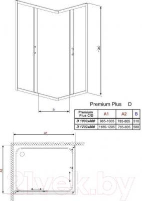 Душевая кабина Radaway Premium Plus D1000 / 30434-01-01N