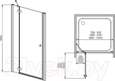 Душевая дверь Radaway Torrenta DWJ 100 L / 31920-01-10N