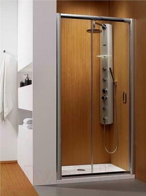 

Душевая дверь Radaway, Premium Plus DWJ / 33302-01-01N
