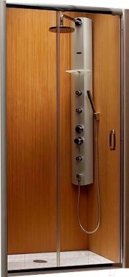 

Душевая дверь Radaway, Premium Plus DWJ / 33333-01-01N