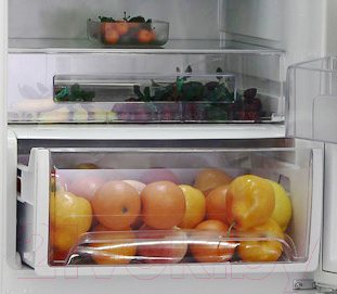 Холодильник с морозильником Candy CKBN 6200 DW (34001776)