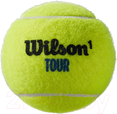 Набор теннисных мячей Wilson Tour Premier All CT 4 BALL CAN / WRT119400