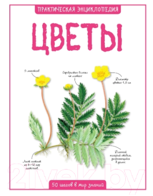 

Развивающая книга Махаон, Цветы. 50 шагов в мир знаний