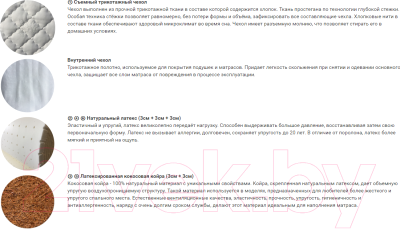 Купить Матрас Фабрика сна Латекс Hard-2 150x190 в Бресте