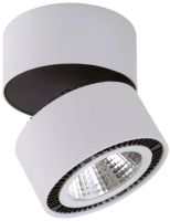 

Точечный светильник Lightstar, Forte Muro 214839