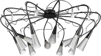 

Люстра Lightstar, Aereo 711127