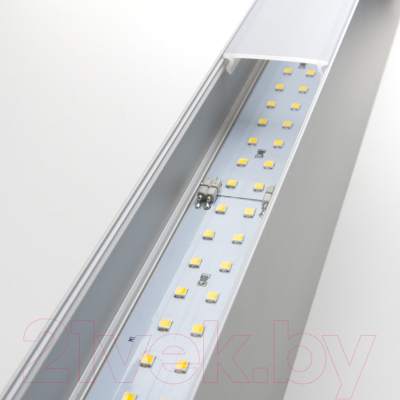 Потолочный светильник Elektrostandard 100-100-30-53 10W 6500K (матовое серебро)