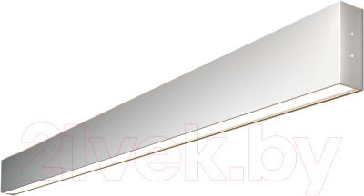 Подсветка для картин и зеркал Elektrostandard 101-100-40-103 40W 4200K (матовое серебро)