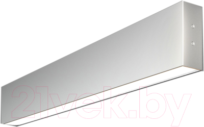 Подсветка для картин и зеркал Elektrostandard 101-100-30-53 10W 6500K (матовое серебро)