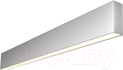 Подсветка для картин и зеркал Elektrostandard 101-100-30-78 15W 4200K (матовое серебро)