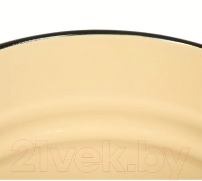 Изображение товара Ведро СтальЭмаль С41224.П