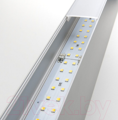Потолочный светильник Elektrostandard 100-200-40-128 50W 4200K (матовое серебро)