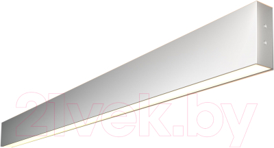 Подсветка для картин и зеркал Elektrostandard 101-100-40-103 40W 3000K (матовое серебро)