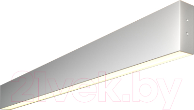 Подсветка для картин и зеркал Elektrostandard 101-100-40-78 30W 3000K (матовое серебро)