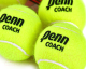 Миниатюра изображения товара Набор теннисных мячей Head Penn Coach Red Label / 524306