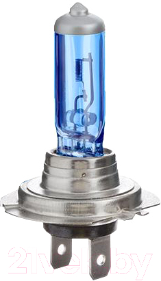 Комплект автомобильных ламп AVS Atlas Plastic A78909S (2шт)