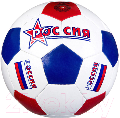 Футбольный мяч Gold Cup T18419