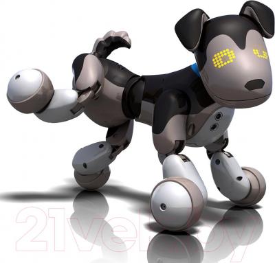 Робот Zoomer Шэдоу (20068496) - общий вид