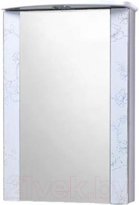 Шкаф с зеркалом для ванной Акваль Токио 50 / ТОКИО.04.50.01.L