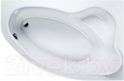 Ванна акриловая Sanplast WAP/CO 100x140 - общий вид