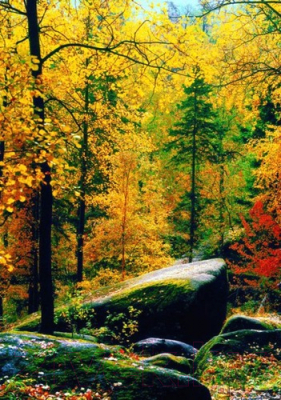 

Фотообои листовые Твоя планета, Люкс Философский камень
