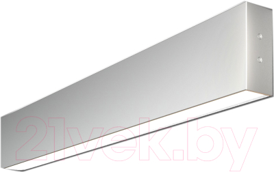 Подсветка для картин и зеркал Elektrostandard 101-100-40-53 20W 6500K (матовое серебро)