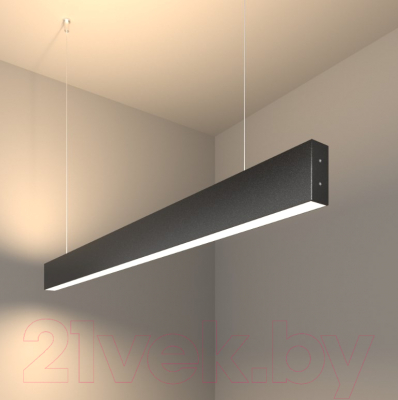 Потолочный светильник Elektrostandard 101-200-40-103 40W 4200K (черная шагрень)