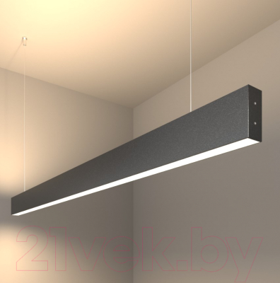 Потолочный светильник Elektrostandard 101-200-40-128 50W 4200K (черная шагрень)