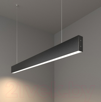 Потолочный светильник Elektrostandard 101-200-30-103 20W 4200K (черная шагрень)