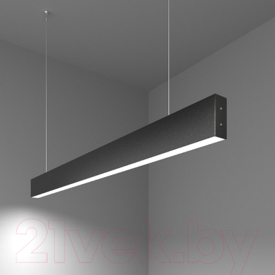 Потолочный светильник Elektrostandard 101-200-30-103 20W 6500K (черная шагрень)