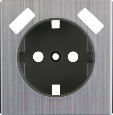 Лицевая панель для розетки Werkel WL02-USB-CP / a037019 (глянцевый никель)