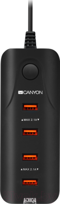 Зарядное устройство сетевое Canyon CNE-CHA09B