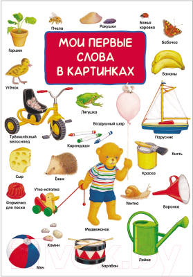 

Развивающая книга Росмэн, Мои первые слова в картинках