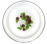 Блюдо СтальЭмаль С0812.Д - 