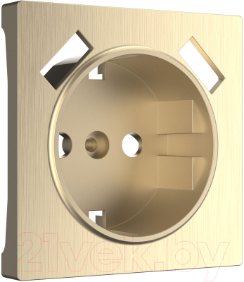 Лицевая панель для розетки Werkel WL10-USB-CP / a037014 (шампань рифленый)