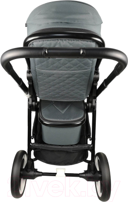 Детская прогулочная коляска Babyzz Dynasty (серый)