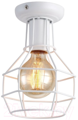 

Потолочный светильник Arte Lamp, Interno Bianco A9182PL-1WH