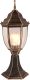 Светильник уличный Arte Lamp Pegasus A3151FN-1BN - 