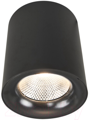 Точечный светильник Arte Lamp Facile A5118PL-1BK