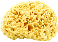 

Губка для тела After Spa, Natural Sea Sponge