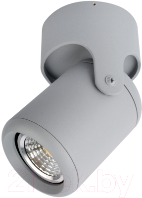 Спот Arte Lamp Libra A3316PL-1GY