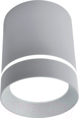 Точечный светильник Arte Lamp Elle A1909PL-1GY