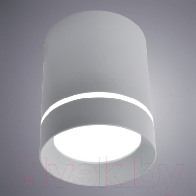 Точечный светильник Arte Lamp Elle A1909PL-1GY