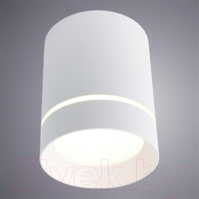 Точечный светильник Arte Lamp Elle A1909PL-1WH