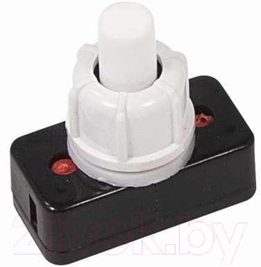 Выключатель клавишный Rexant ON-OFF для настольной лампы 36-3010 (белый)