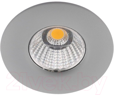 Точечный светильник Arte Lamp Uovo A1425PL-1GY